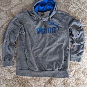 Puma Gray Hoodie